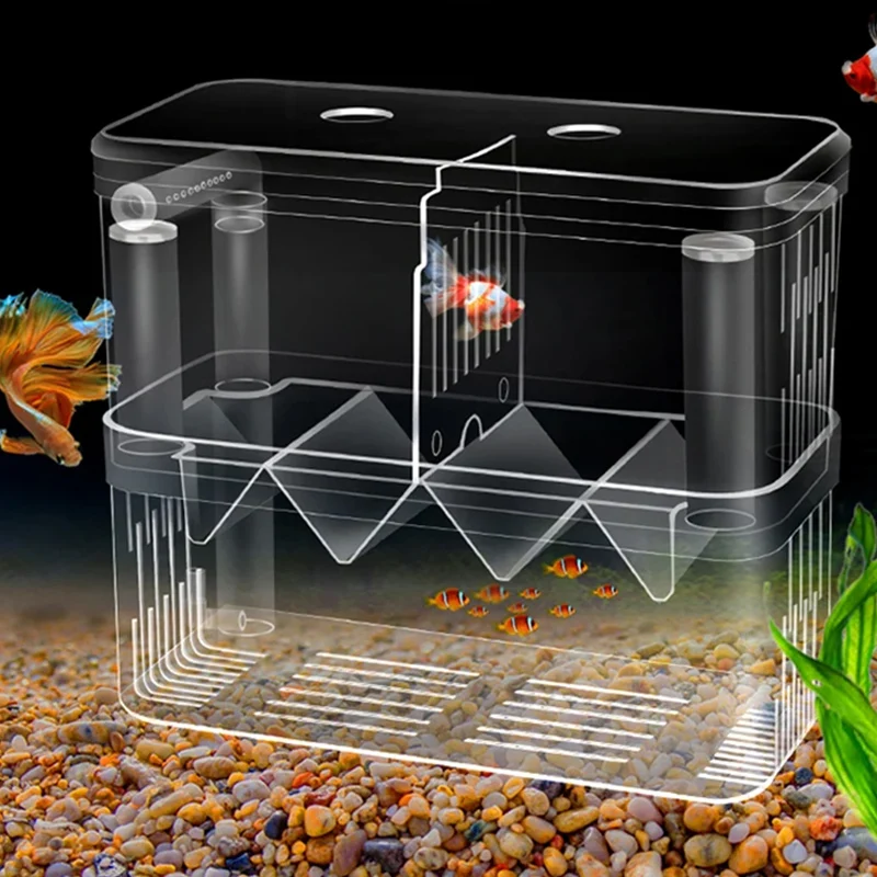 Xl Aquarium Fish - Изолирующая коробка для разведения рыбы S/L/XL,