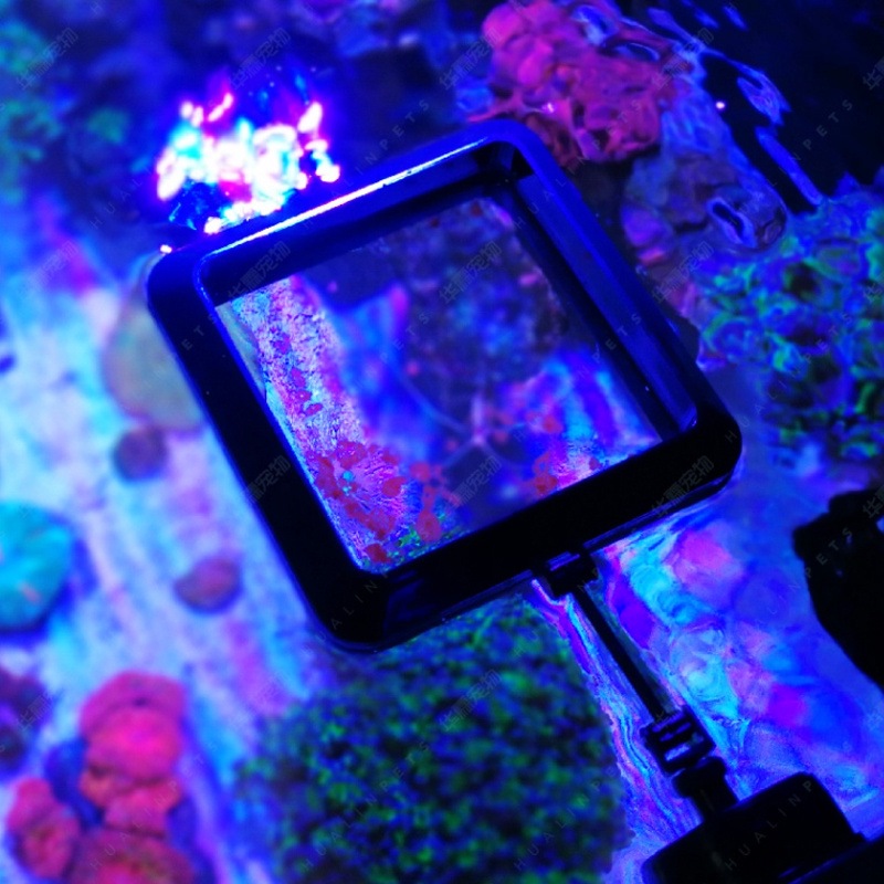 Магнитное кольцо для кормления – обзор и цена Aquarium Fish Price