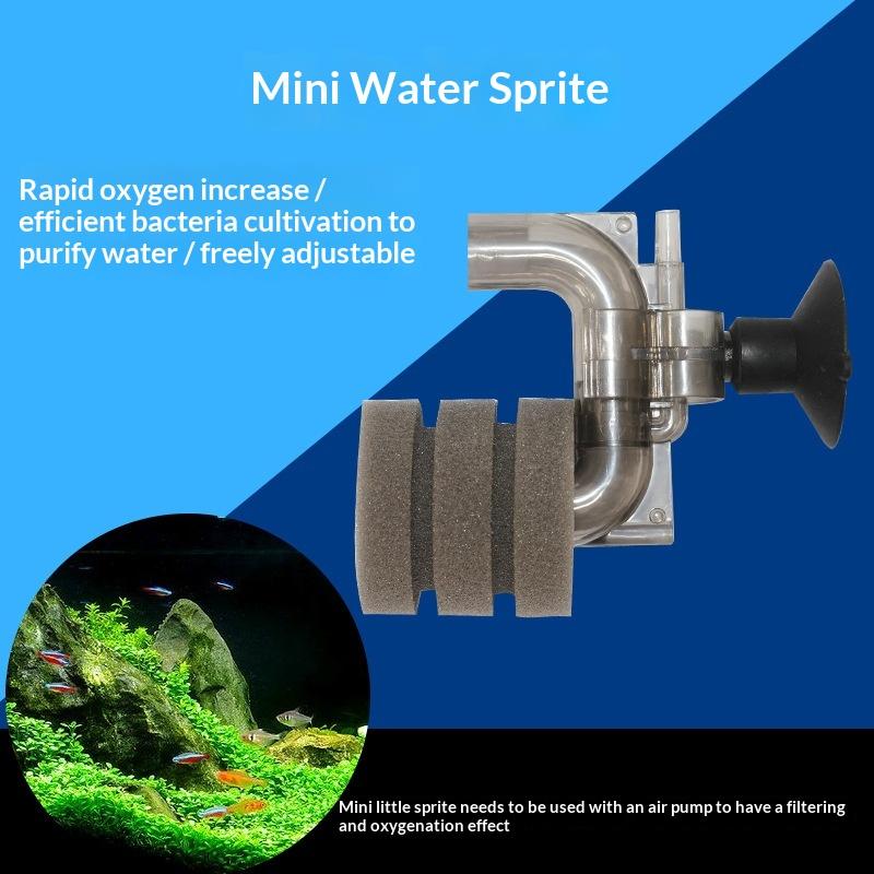 Горячая распродажа - Мини-филь – обзор и цена Aquarium Fish Price