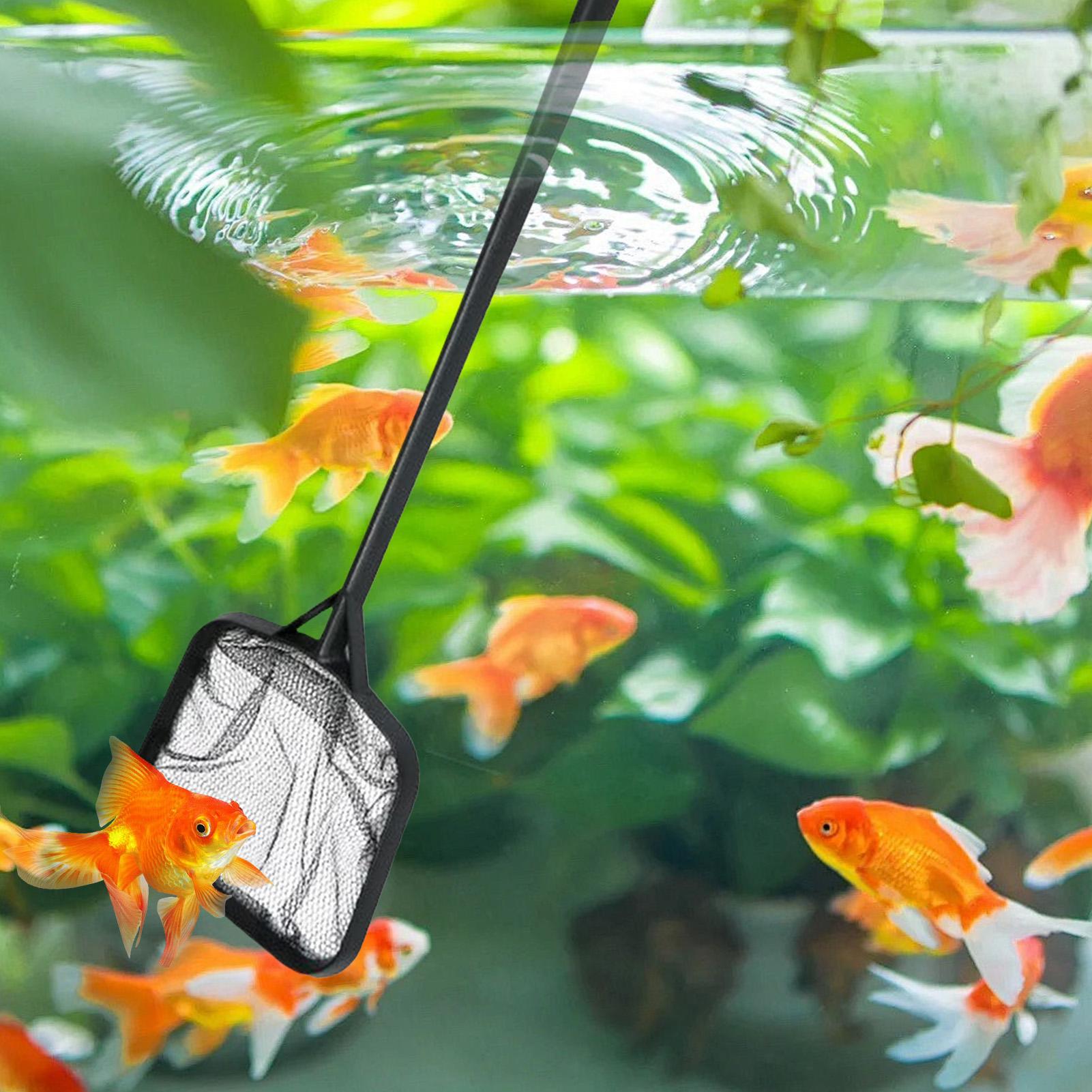 Сетки для чистки бассейнов, по – обзор и цена Aquarium Fishing