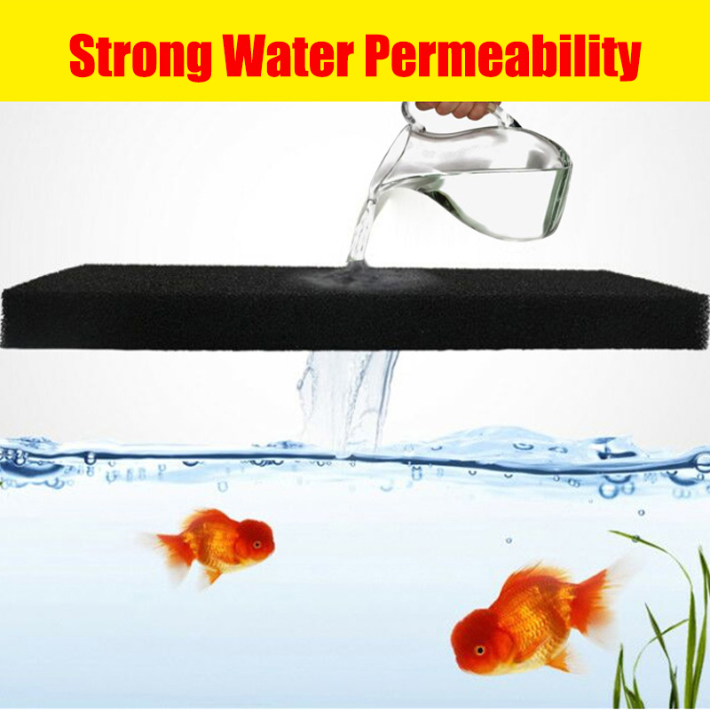 Аксессуары для аквариума Биохи – обзор и цена Xl Aquarium Fish