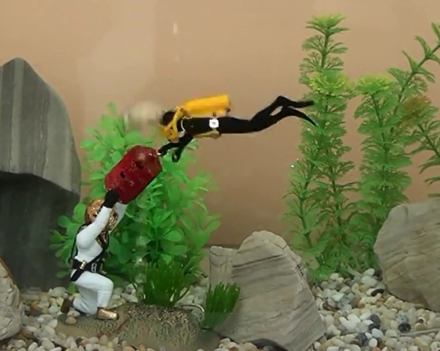 Горячее украшение для аквариум – обзор и цена Aquarium Fish Gif