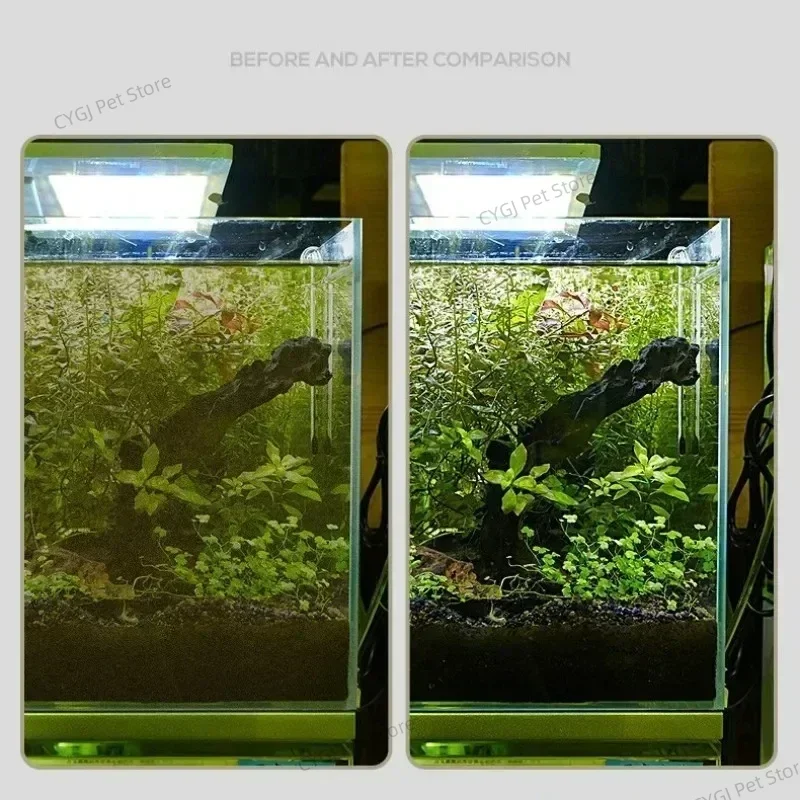Инструмент для чистки аквариум – обзор и цена Algae Scraper Blade