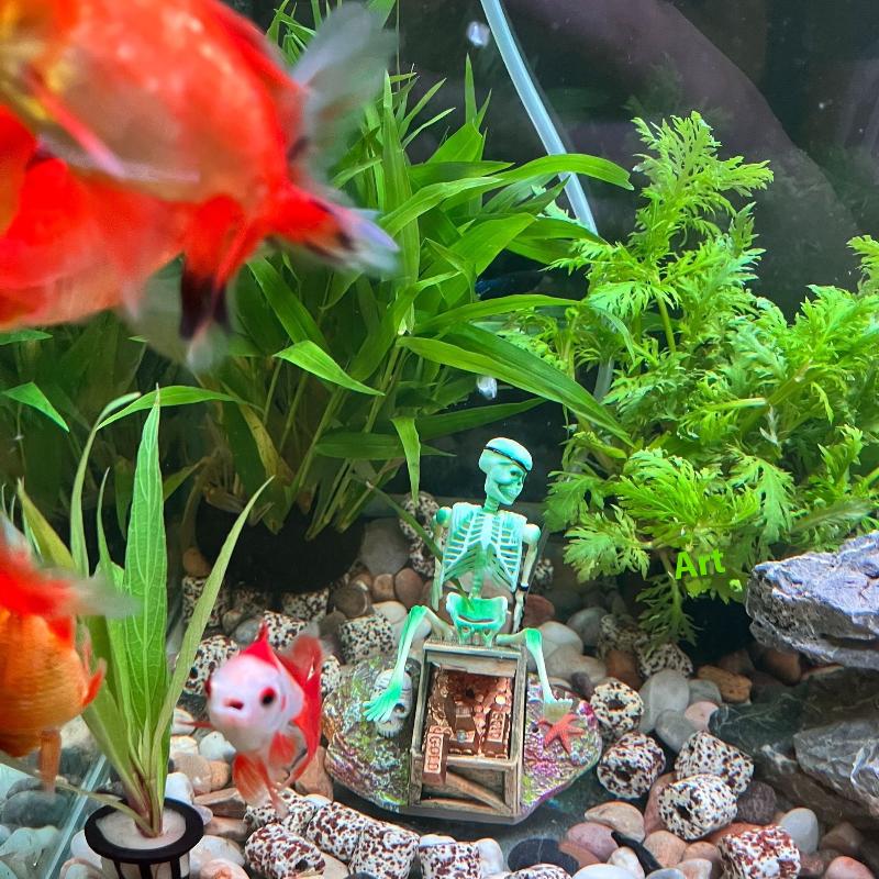 Аквариум, аэробный пейзаж, пуз – обзор и цена Aquarium Fish Cartoon