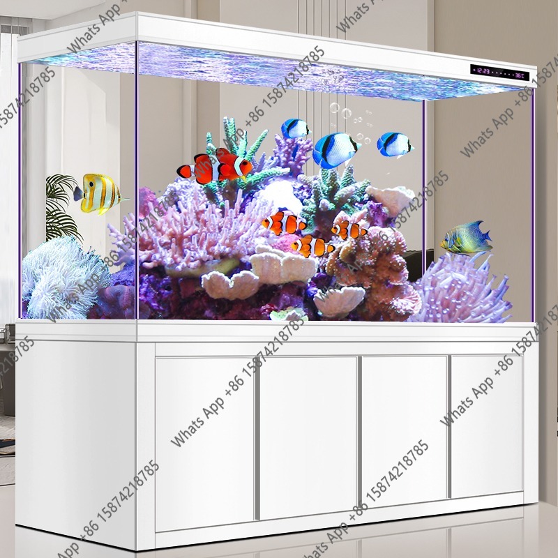 Аквариум X Arowana из ультрапр – обзор и цена Xchange Aquarium Fish