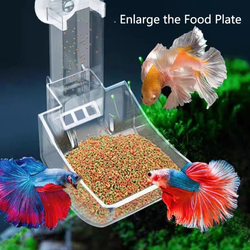Прозрачная трубка для подачи а – обзор и цена Aquarium Fish Price