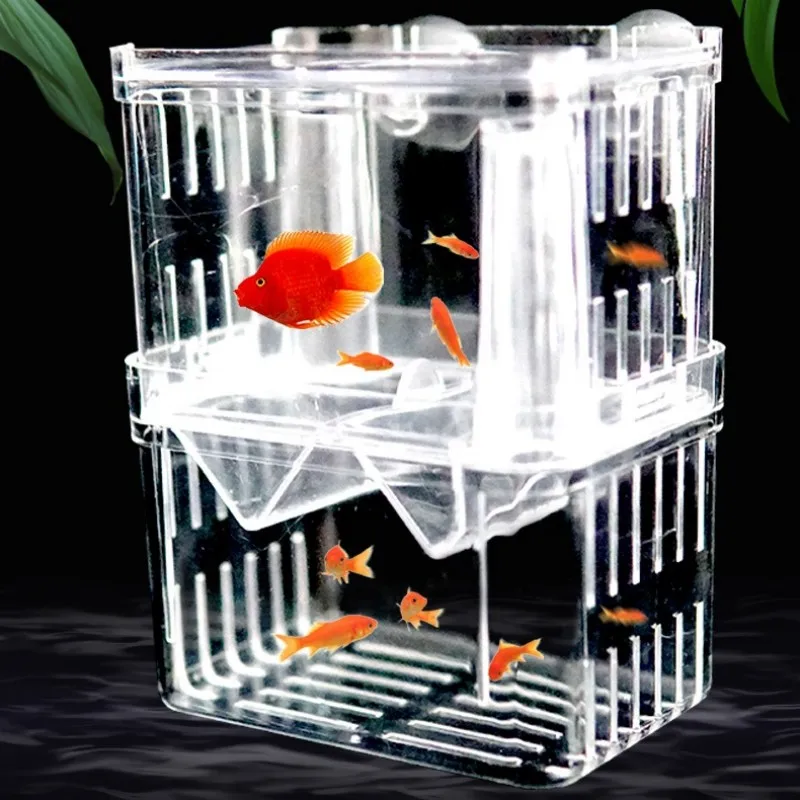 Изолирующая коробка для развед – обзор и цена Xl Aquarium Fish