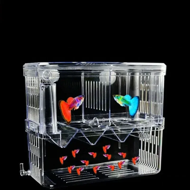 Изолирующая коробка для развед – обзор и цена Xl Aquarium Fish