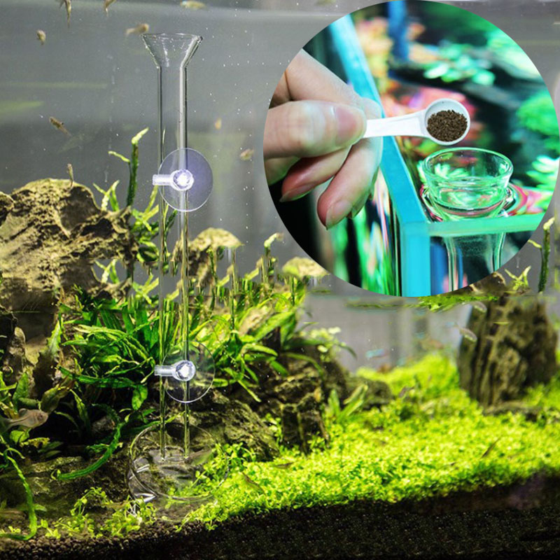 Аквариумная стеклянная кормушк – обзор и цена Aquarium Fish Price