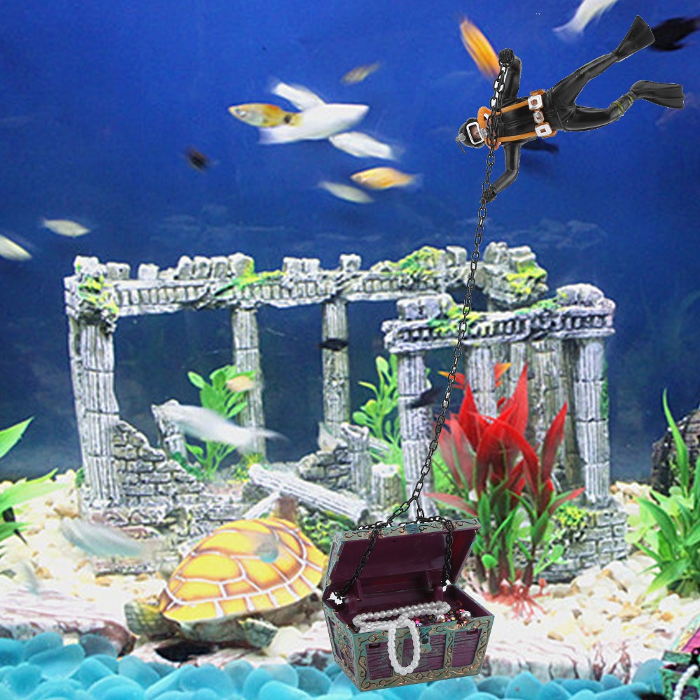 Декоративный аквариумный элеме – обзор и цена Aquarium Fish Price