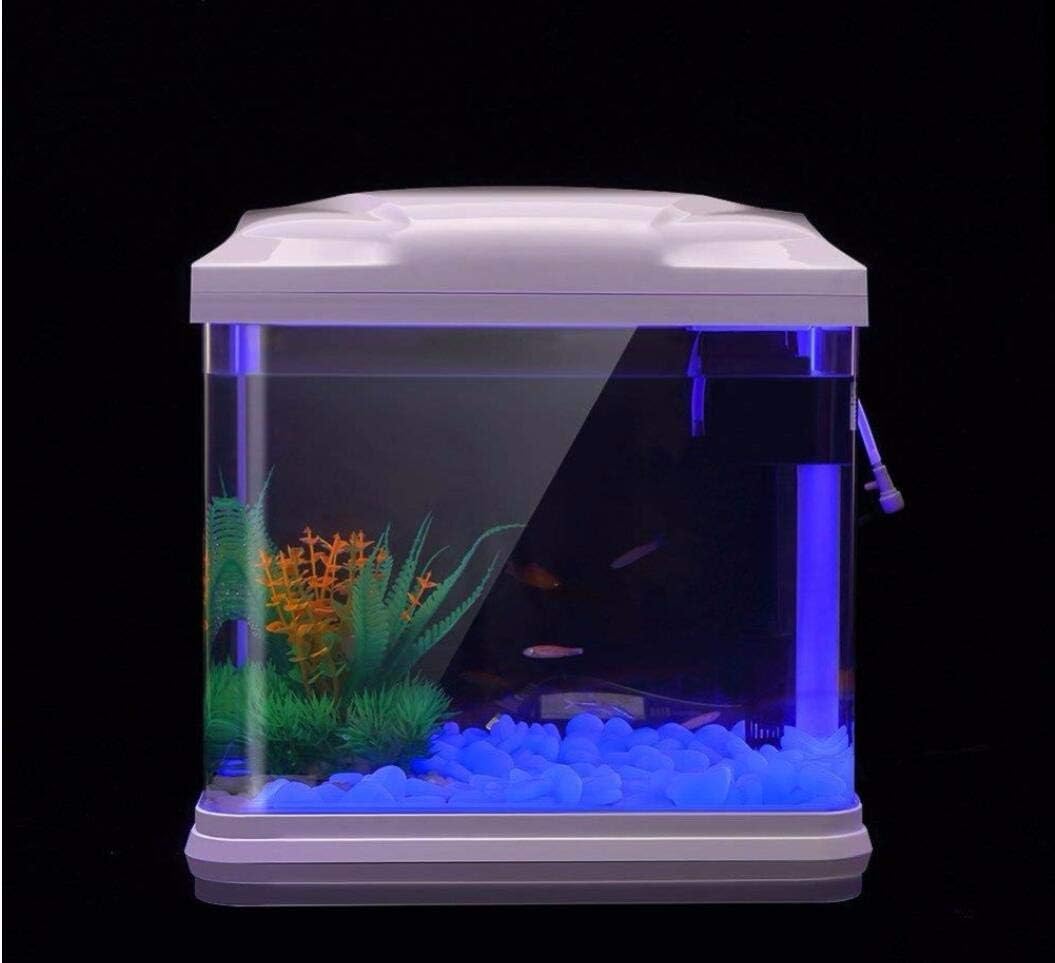 Скели для аквариума, светящиес – обзор и цена Aquarium Fishing
