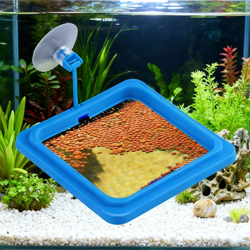 Кольцевая подставка для кормле – обзор и цена Aquarium Fish Price