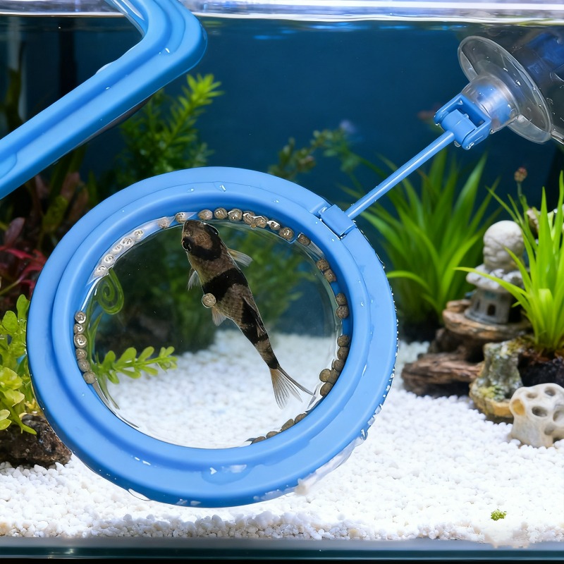 Кольцевая подставка для кормле – обзор и цена Aquarium Fish Price
