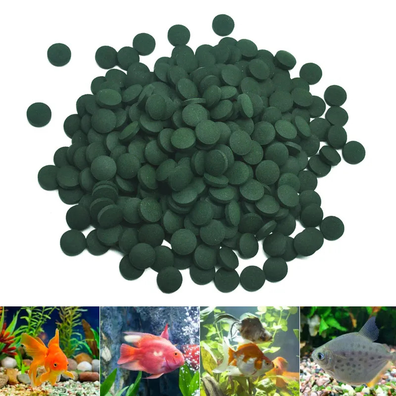50-300 шт. таблетки спирулины  – обзор и цена Aquarium Fish Price