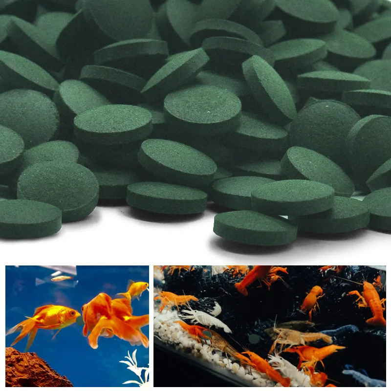 50-300 шт. таблетки спирулины  – обзор и цена Aquarium Fish Price