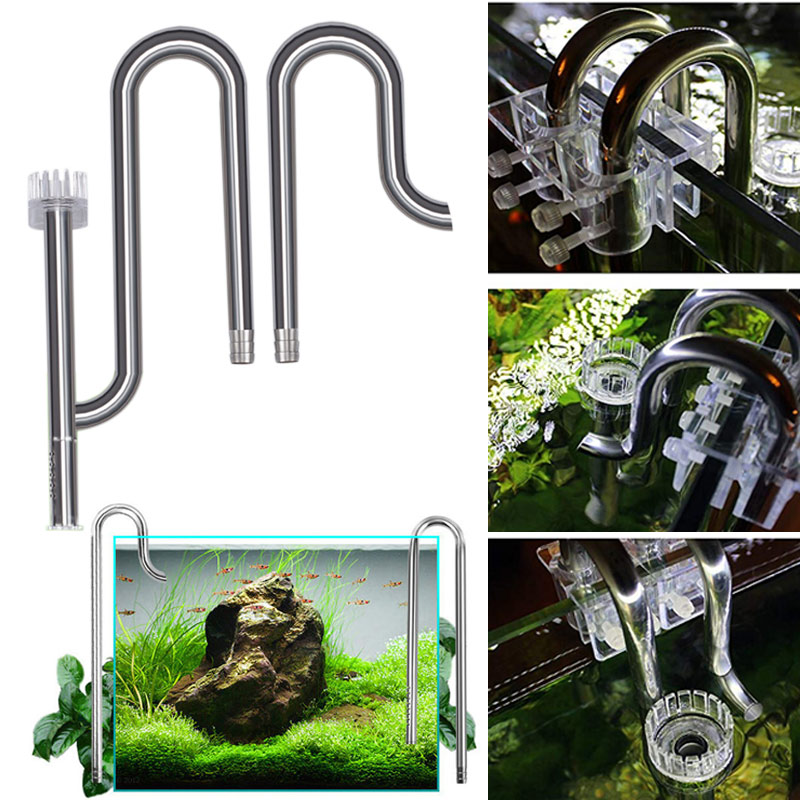 Новый аквариум Лилия труба из  – обзор и цена Aquarium Fish Price