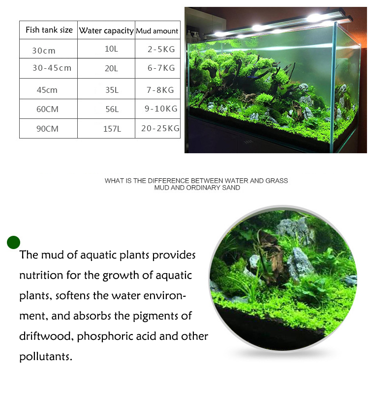 Семена аквариумных растений, п – обзор и цена Aquarium Fish Price