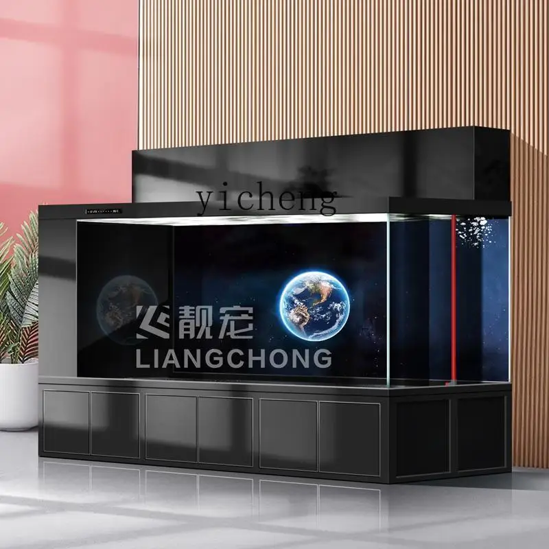 Аквариум XL с двойным фильтром – обзор и цена Xl Aquarium Fish