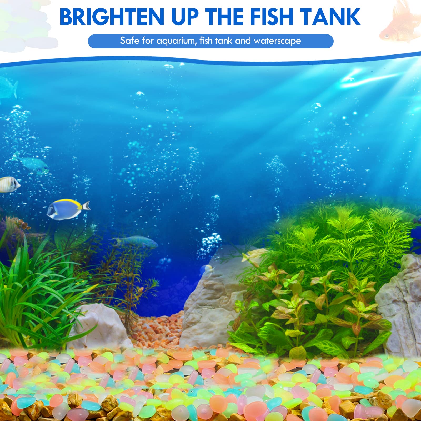 100 шт. светящиеся в темноте с – обзор и цена Aquarium Fish Guppy