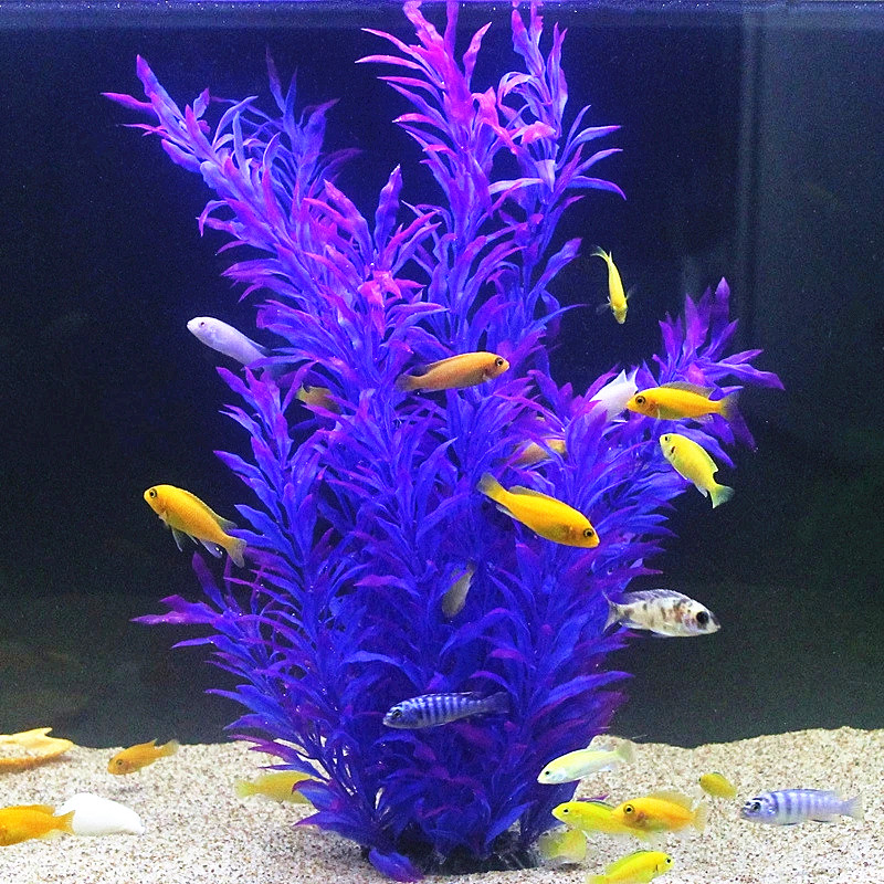 50 см искусственный аквариум р – обзор и цена Aquarium Fish Guppy