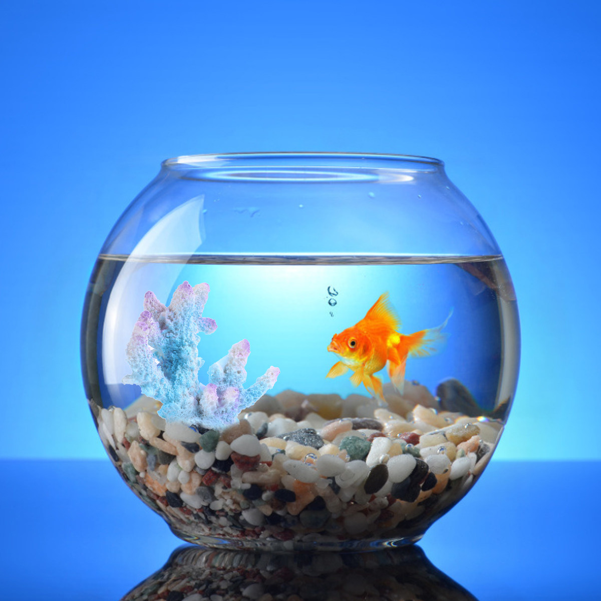 Xl-S1718 Реалистичный коралл и – обзор и цена Xl Aquarium Fish